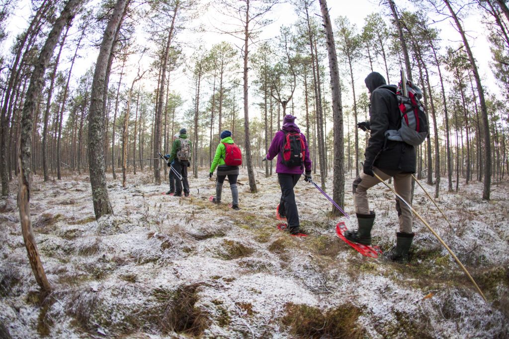 Sportland Kõrvemaa