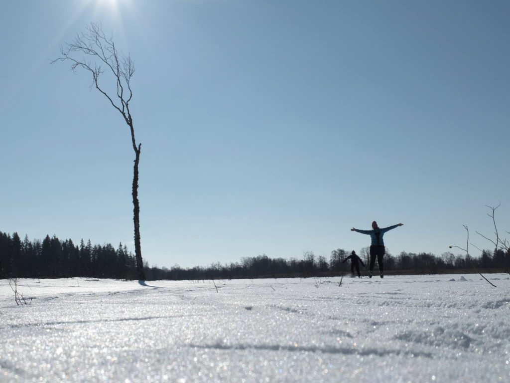 Sportland Kõrvemaa