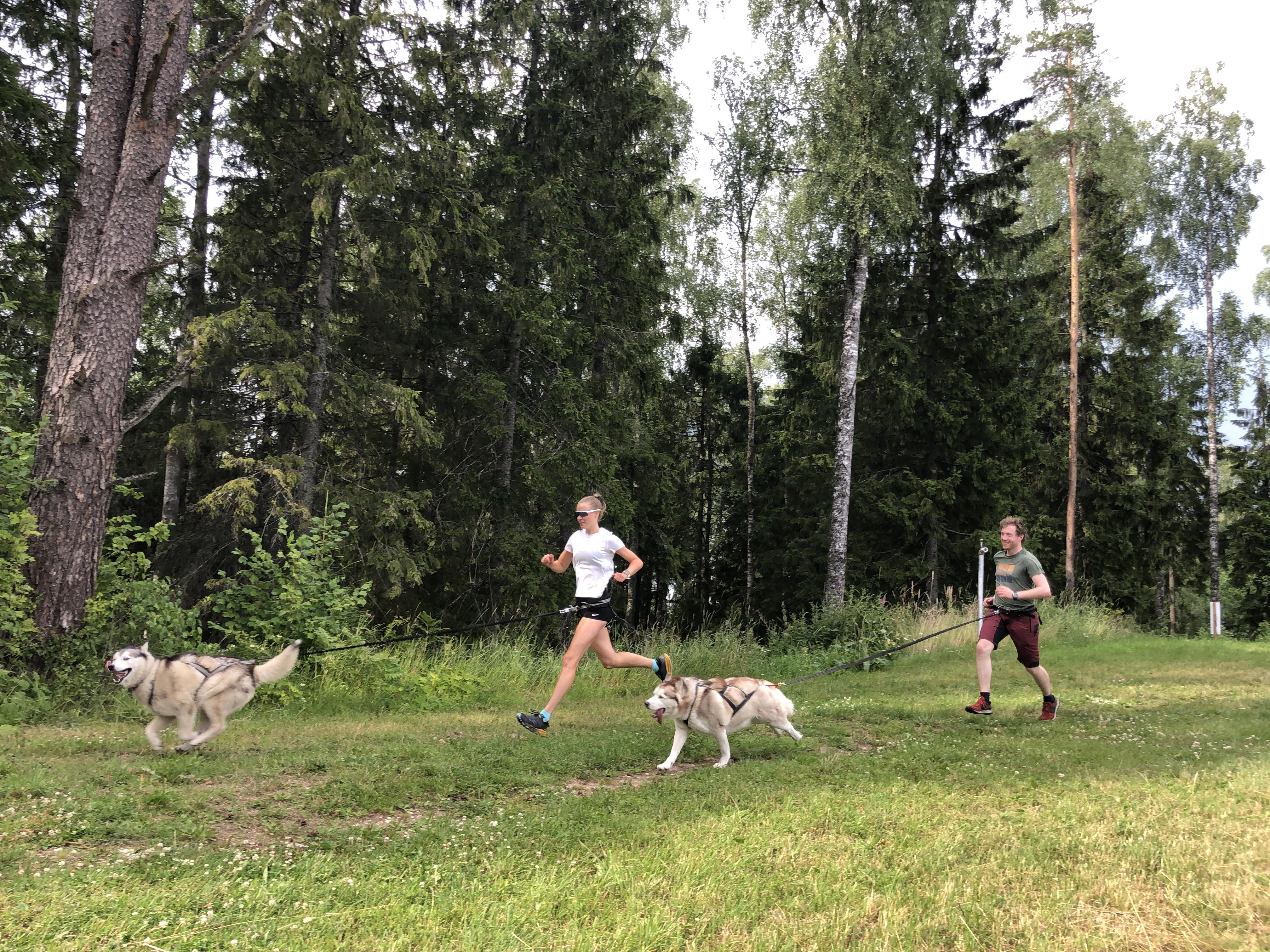 Sportland K&otilde;rvemaa