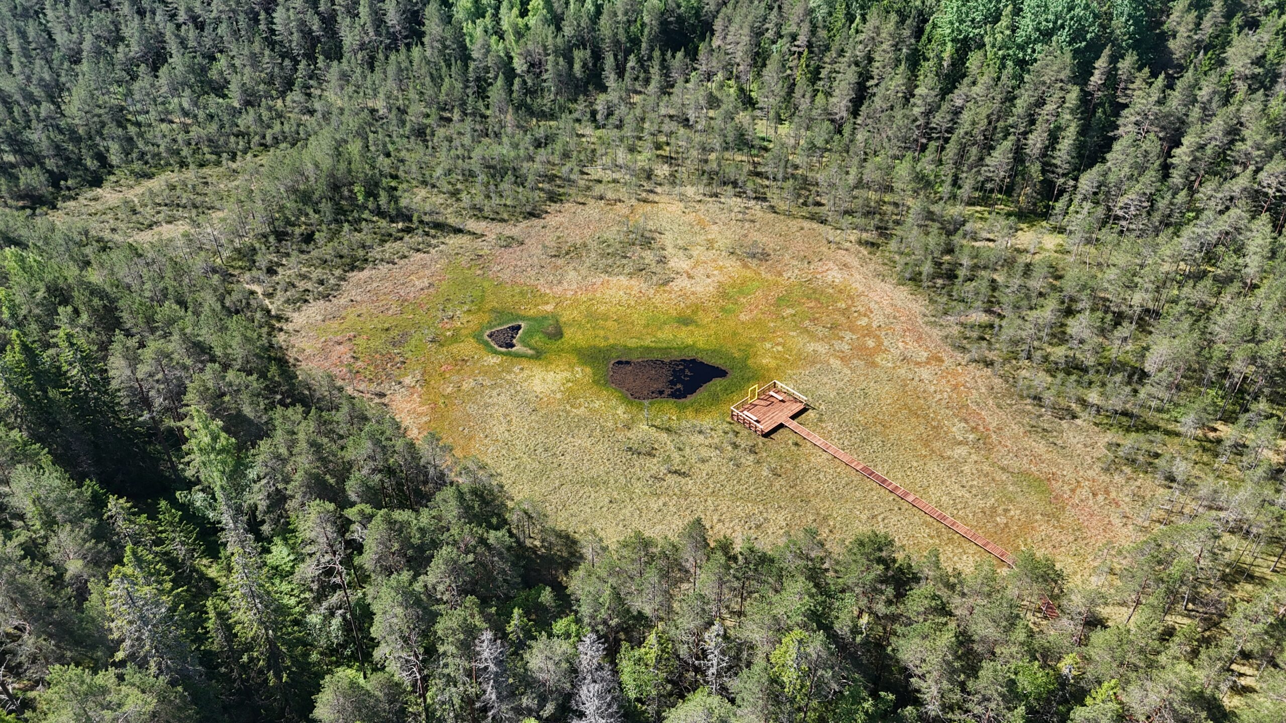 Uus Linajärve rabarada on avatud!